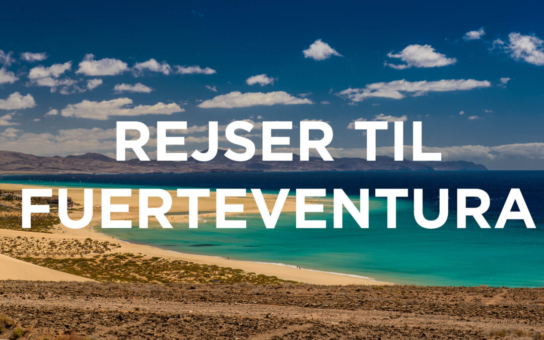 Alt om rejser til Fuerteventura